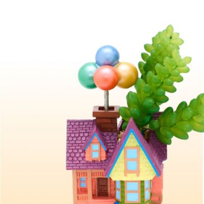 Haushalt  JETZT KAUFEN