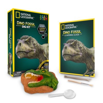 Bandai Kit de fouille National Geographic Fossiles de dinosaures