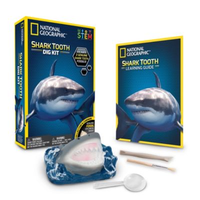 Bandai Kit de fouille National Geographic Dents de requins